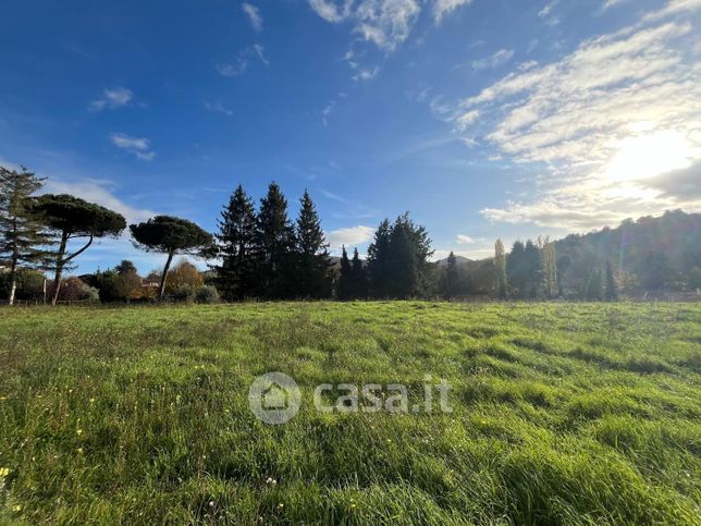 Terreno agricolo in commerciale in Strada Provinciale 215 Tuscolana 2