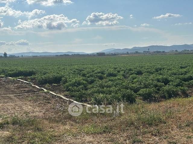 Terreno agricolo in commerciale in 