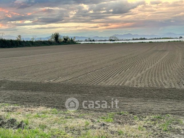 Terreno agricolo in commerciale in Via San Francesco a Patria