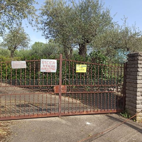 Terreno edificabile in residenziale in Via Francesco Fanti