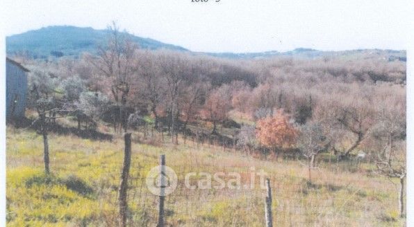 Terreno agricolo in commerciale in Contrada Chiascio Filette