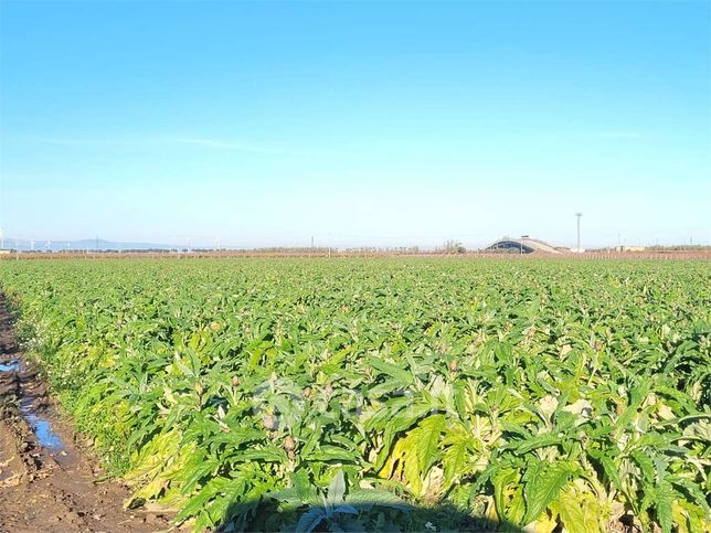 Terreno agricolo in commerciale in Strada Provinciale 68
