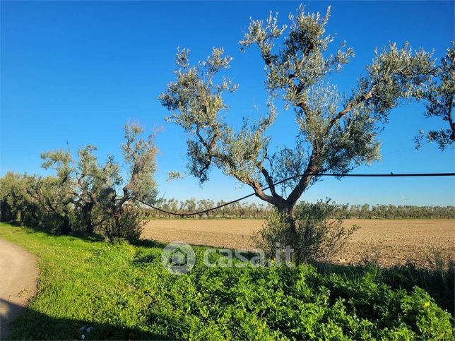 Terreno agricolo in commerciale in Strada Provinciale 72