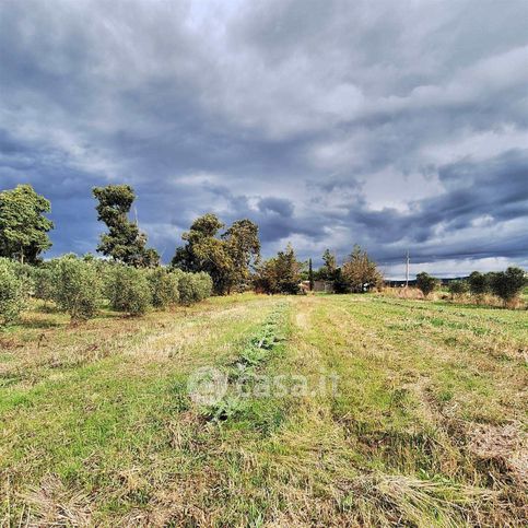 Rustico/casale in residenziale in 