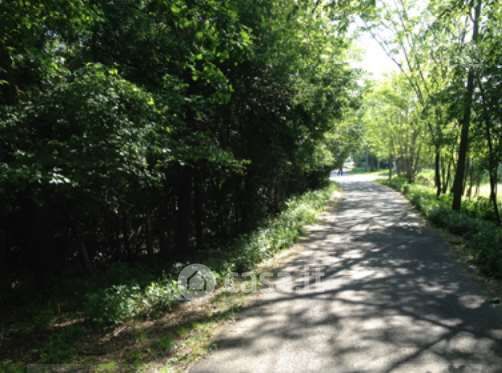 Terreno agricolo in commerciale in Via per Cassano Magnago 74