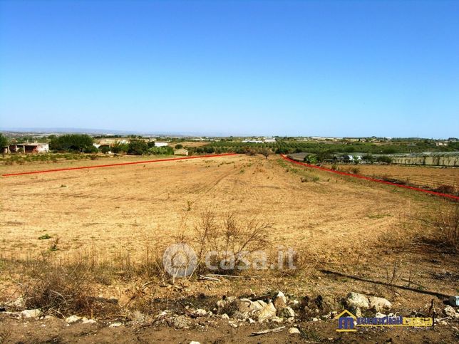 Terreno agricolo in commerciale in Strada Senza Nome