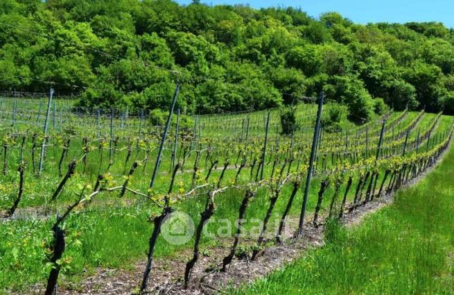 Terreno agricolo in commerciale in Via Angelo Spada