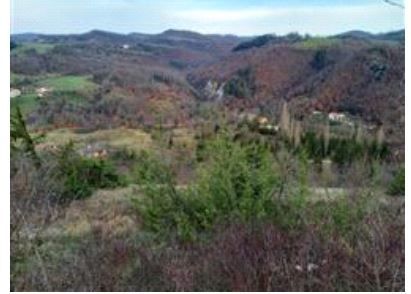 Terreno agricolo in commerciale in 