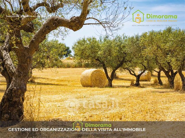 Terreno agricolo in commerciale in Via Costituzione 26