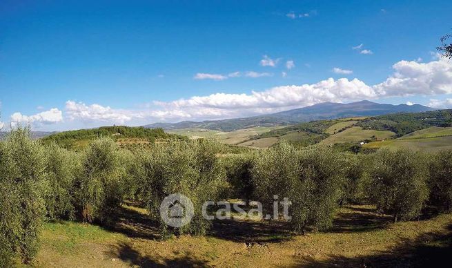 Terreno agricolo in commerciale in LocalitÃ  Podere Anteata