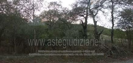 Terreno agricolo in commerciale in 