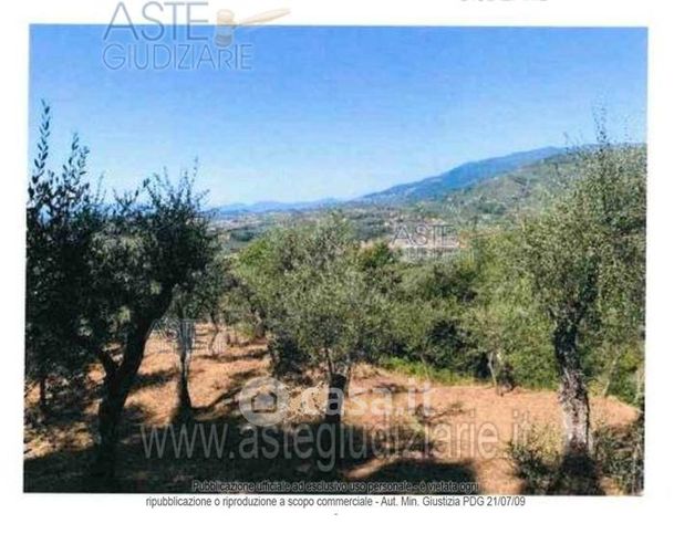 Terreno agricolo in commerciale in Via Colli per Uzzano