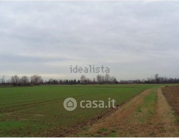 Terreno agricolo in commerciale in Frazione forette