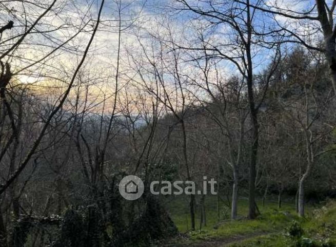 Terreno agricolo in commerciale in Località La Pilla