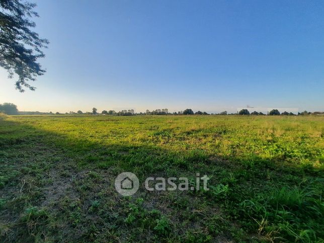 Terreno agricolo in commerciale in Via Pesci 12