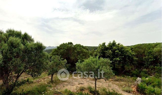 Terreno agricolo in commerciale in Via San Vittore