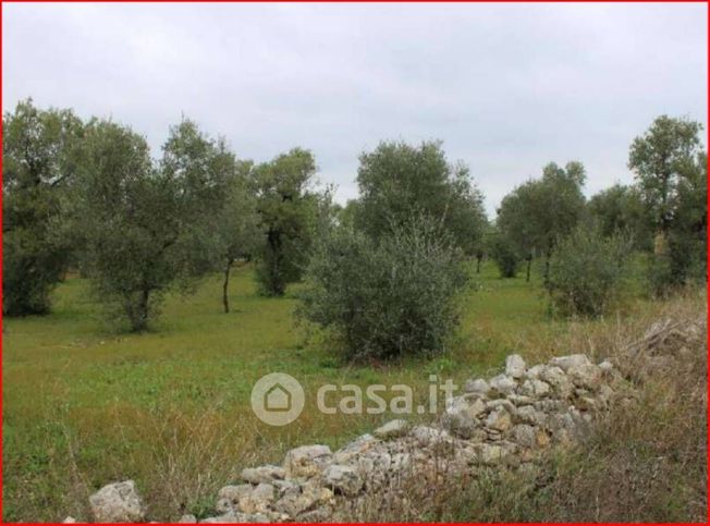 Terreno edificabile in residenziale in Strada Provinciale 180