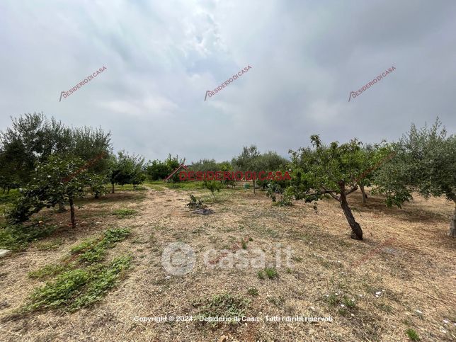 Terreno agricolo in commerciale in Via Suppietro Esterna