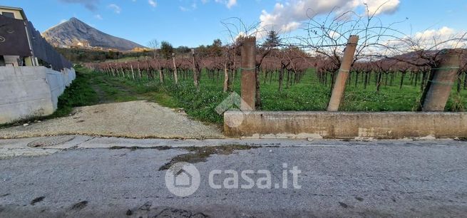 Terreno agricolo in commerciale in Via Sala