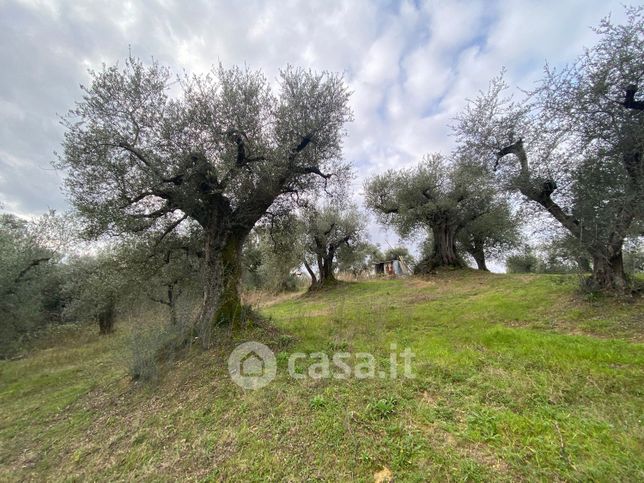 Terreno agricolo in commerciale in Località San Giovanni in Argentella