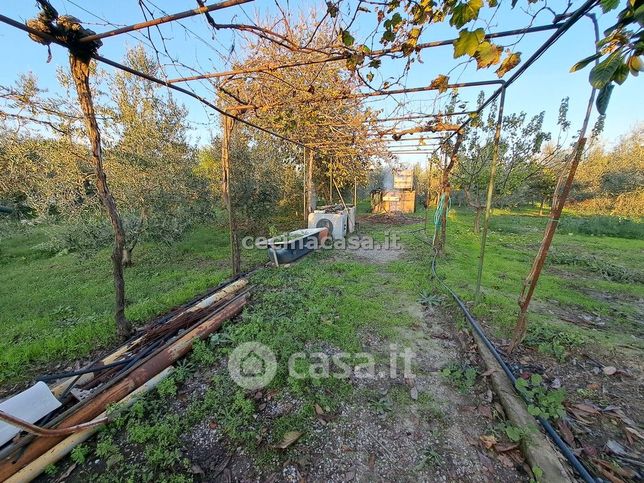 Terreno agricolo in commerciale in Via Francesco Domenico Guerrazzi