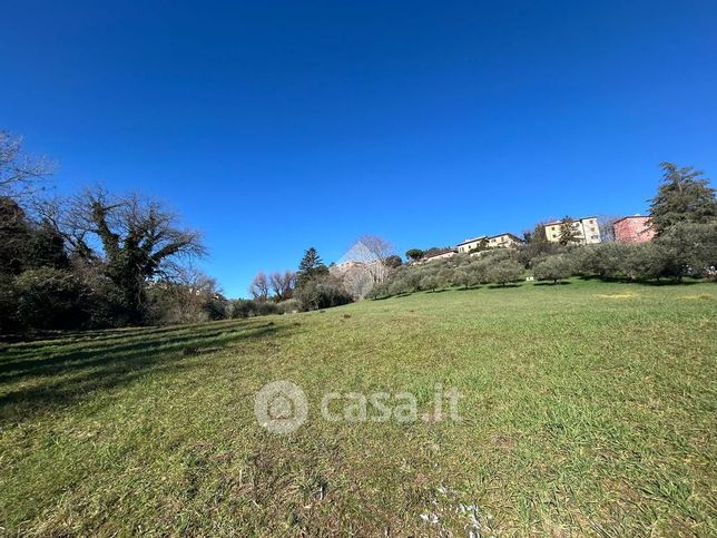 Terreno agricolo in commerciale in Strada Eugubina 121