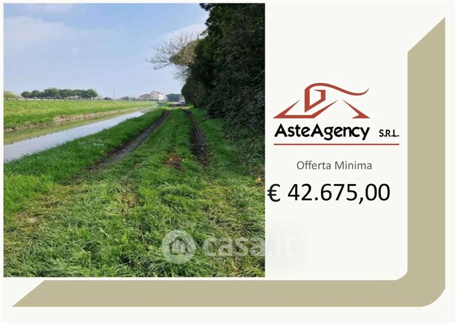 Terreno agricolo in commerciale in Strada Margherita
