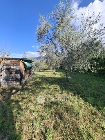 Terreno agricolo in commerciale in Strada Beato Tommaso da Cori