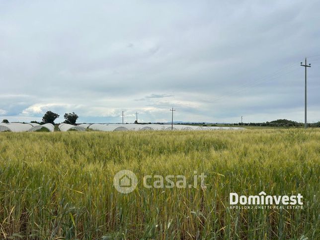 Terreno edificabile in residenziale in Strada Cacciata Grande