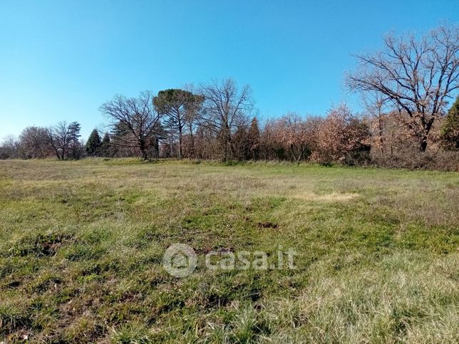 Terreno edificabile in residenziale in Via Nepesina