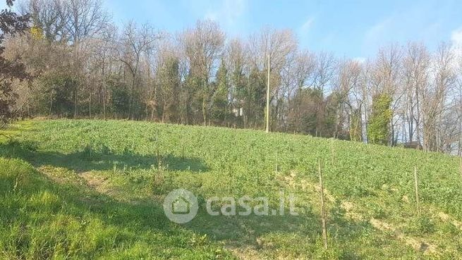 Terreno agricolo in commerciale in LocalitÃ  Sant'Aniello