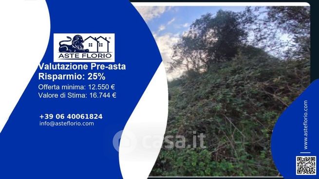 Terreno agricolo in commerciale in A11