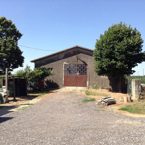 Terreno agricolo in commerciale in Via Canal Bianco Inferiore