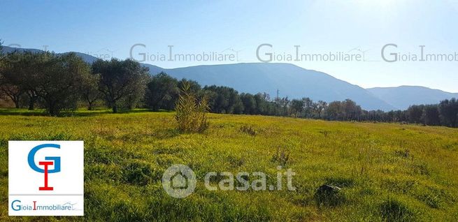 Terreno agricolo in commerciale in LocalitÃ  Muscarielli Piccoli