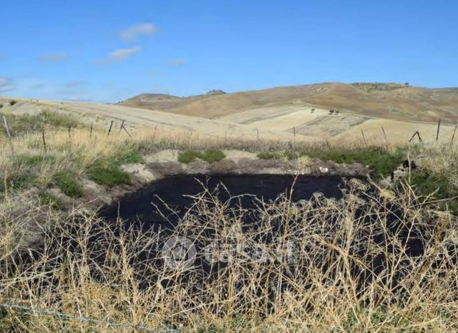 Terreno agricolo in commerciale in Contrada Costantino