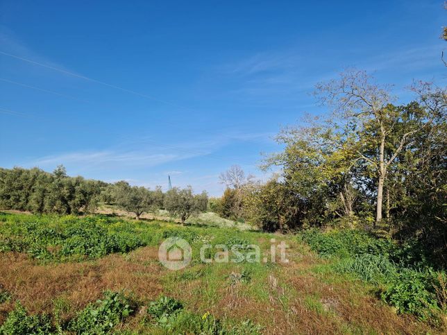 Terreno agricolo in commerciale in Contrada Padune