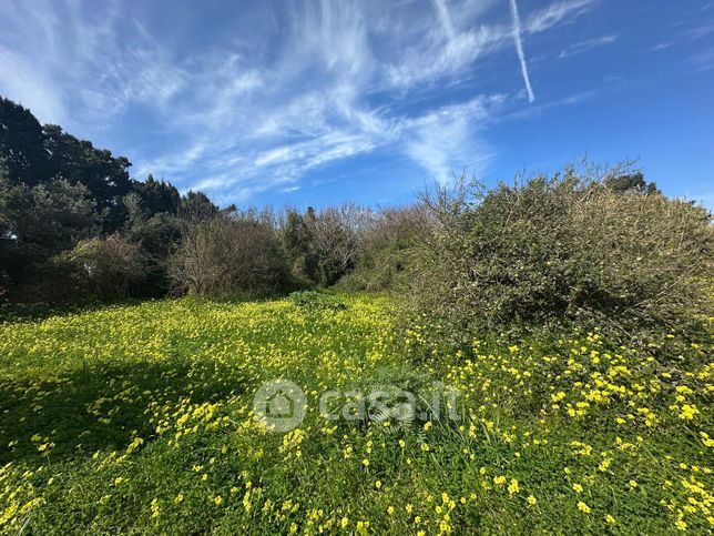 Terreno agricolo in commerciale in Via Guido