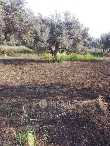 Terreno edificabile in residenziale in Contrada Barranca
