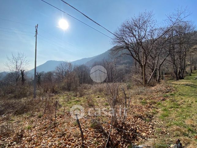 Terreno agricolo in commerciale in 