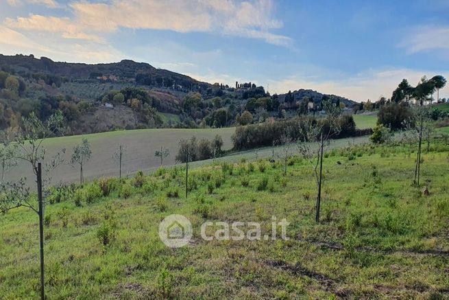 Terreno agricolo in commerciale in Località San Pierino