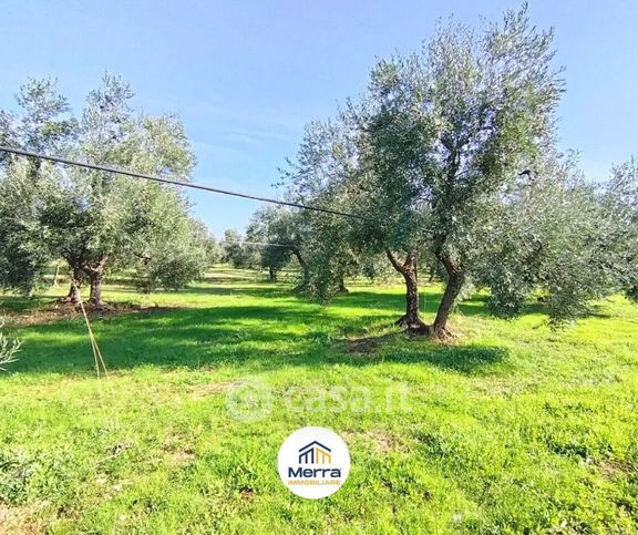 Terreno agricolo in commerciale in Viale San Cristoforo