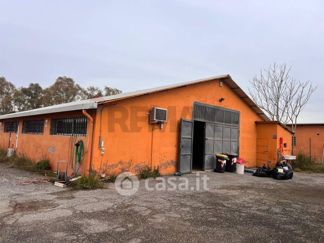Capannone in commerciale in Via di Castel di Leva 298
