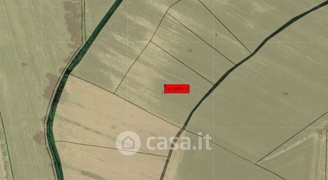 Terreno agricolo in commerciale in Frazione San Firmino a Gabbiano