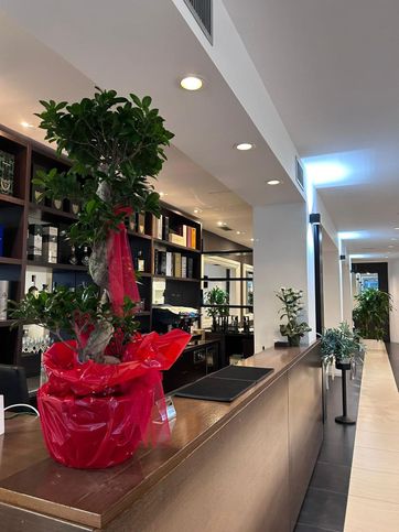 Attivitã /licenza (con o senza mura) in commerciale in Viale Dante