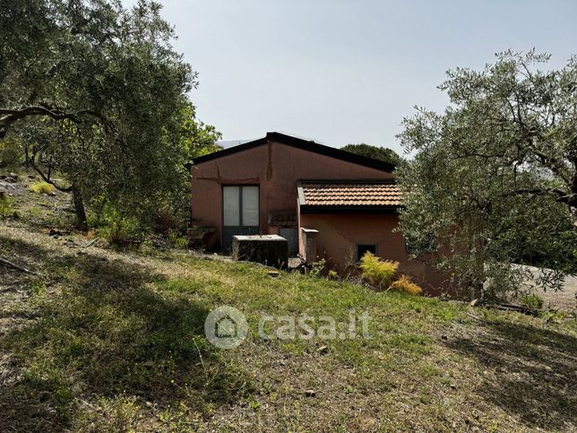 Terreno agricolo in commerciale in Via Francesco Paolo Finocchiaro