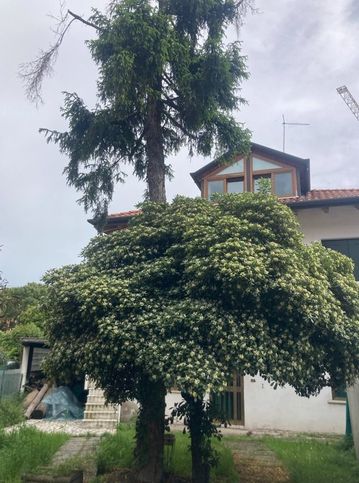 Casa indipendente in residenziale in Via San Donà 160