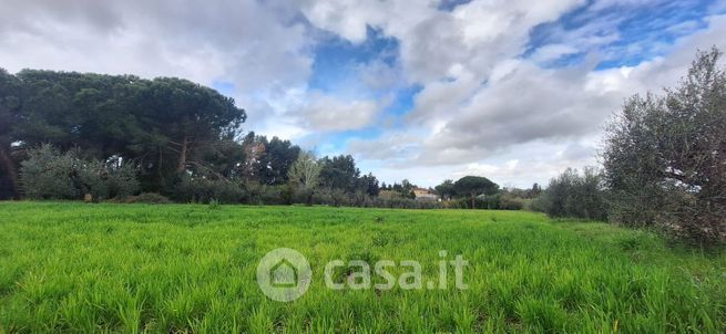 Terreno agricolo in commerciale in Via del Paratino