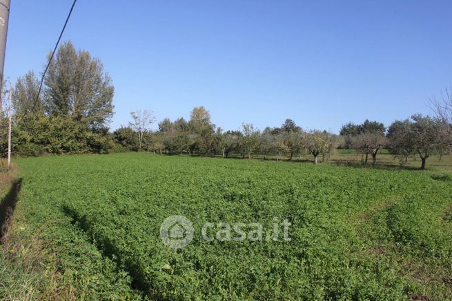 Terreno agricolo in commerciale in 