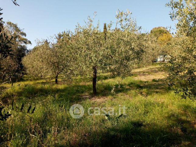 Terreno agricolo in commerciale in LocalitÃ  Valli