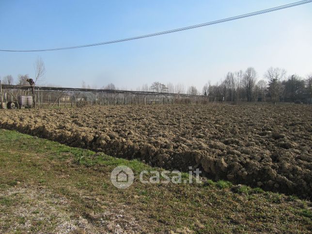 Terreno agricolo in commerciale in Via Roma